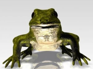 crazy frog 3D Model