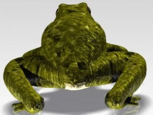 crazy frog 3D Model