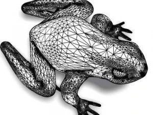 crazy frog 3D Model