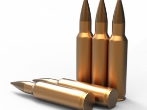 bullet 3D Model