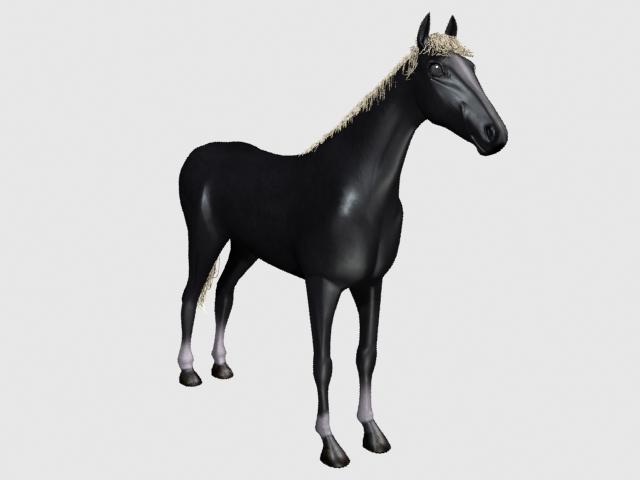 black horse 3D Model .c4d .max .obj .3ds .fbx .stl .blend 