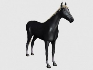 black horse 3D Model