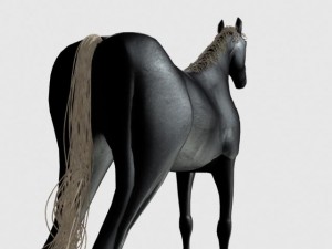 black horse 3D Model