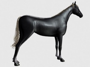 black horse 3D Model