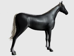 black horse 3D Model