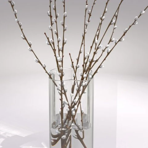 decorative vase with willow 3D Model .c4d .max .obj .3ds .fbx .stl .blend 