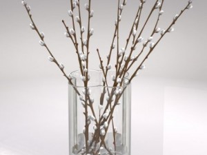 decorative vase with willow Modèle 3D