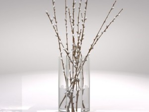 decorative vase with willow 3D Model