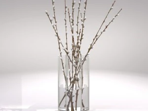 decorative vase with willow 3D Model