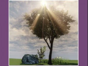 game foliage  low poly environment assets 3D Model