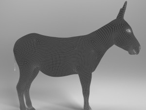 donkey 3D मॉडल