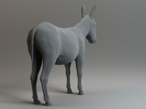 donkey 3D मॉडल