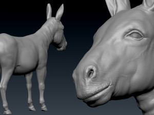donkey 3D मॉडल