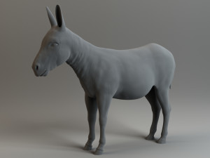 donkey 3D 모델
