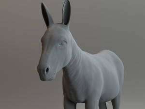 donkey 3D Model