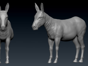 donkey 3D Model