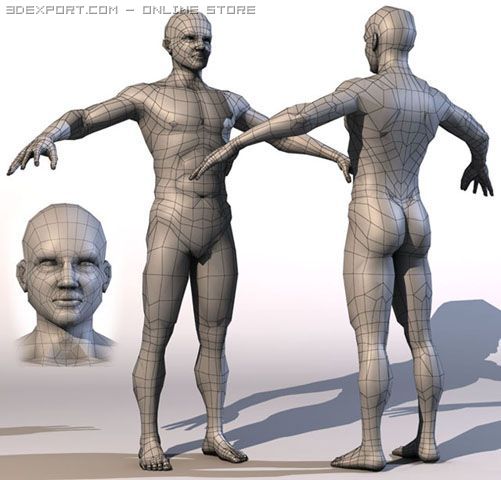 realistic male body 3D-Modell .c4d .max .obj .3ds .fbx .stl .blend 