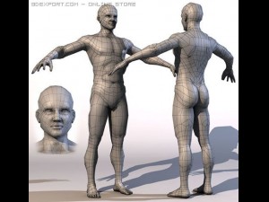 realistic male body 3D Модель