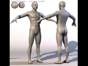 realistic male body 3D-Modell