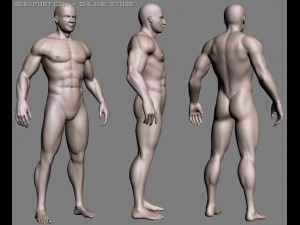 realistic male body 3D Модель