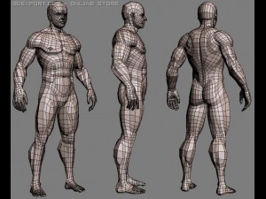 realistic male body 3D Модель