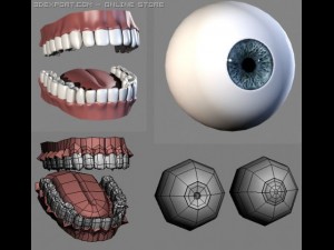realistic male body 3D Модель