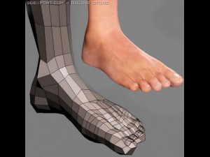 realistic male body 3D Модель