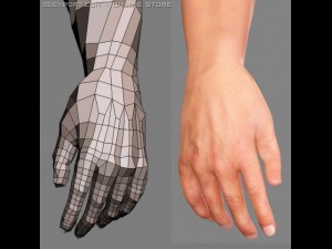 realistic male body 3D Модель