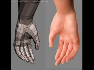 realistic male body 3D Model