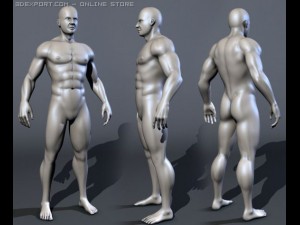 male bodybuilder 3Dモデル