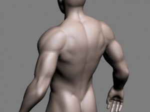 male bodybuilder 3Dモデル