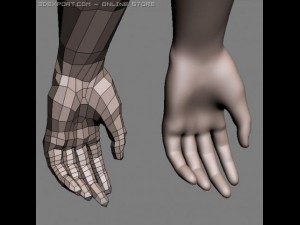 male bodybuilder 3Dモデル