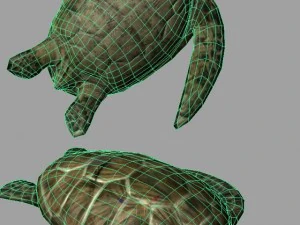 turtle lowpoly 3D Model