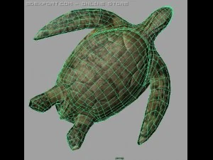 turtle lowpoly 3D Model