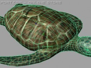 turtle lowpoly Model 3D