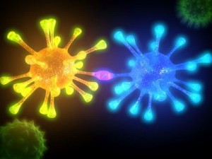 bacterias Modello 3D