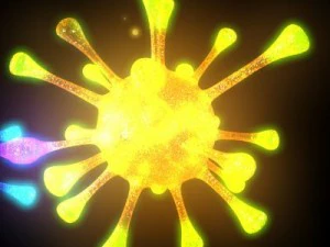 bacterias 3D Model