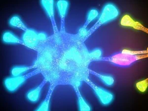 bacterias 3D Model
