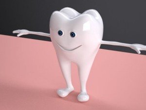 tooth rigged 3D Model