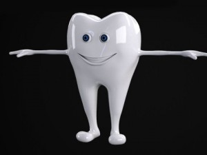 tooth rigged Modelo 3D