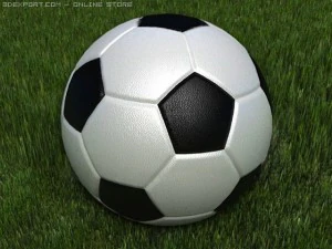 soccer ball 3D Model