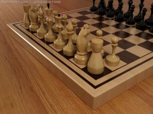 wooden chess set 3D Model