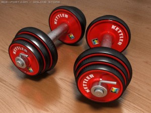 kettler dumbbells Modelo 3D