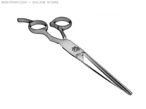 scissor Modèle 3D