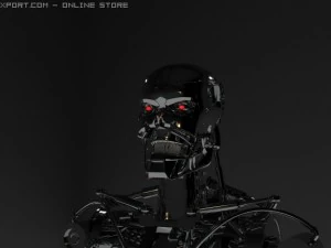 t800 portrait model 3D Model