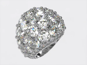 环0006 3D 打印模型