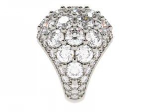 ring0006 3D Druckmodell