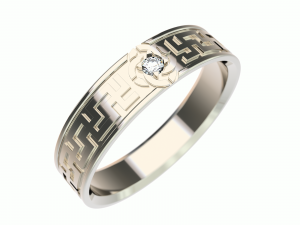 ring0009 3D प्रिंट मॉडल