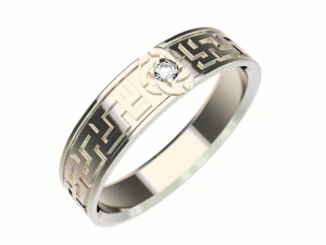 ring0009 3D Druckmodell