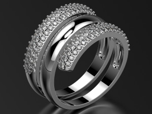 ring0013 3D प्रिंट मॉडल